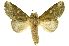  ( - INBIOCRI002365711)  @11 [ ] Copyright (2012) J. Montero INBio