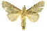  ( - INBIOCRI002377052)  @13 [ ] Copyright (2012) J. Montero INBio