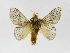  ( - INBIOCRI002385901)  @14 [ ] Copyright (2012) J. Montero Instituto Nacional de Biodiversidad