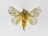  ( - INBIOCRI002385903)  @13 [ ] Copyright (2012) J. Montero Instituto Nacional de Biodiversidad