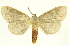  ( - INBIOCRI002388426)  @14 [ ] Copyright (2012) J. Montero INBio