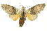  ( - INBIOCRI002394301)  @15 [ ] Copyright (2012) J. Montero INBio