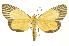  ( - INBIOCRI002399533)  @11 [ ] Copyright (2012) Juan Mata Lorenzen INBio
