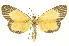  ( - INBIOCRI002399533)  @11 [ ] Copyright (2012) Juan Mata Lorenzen INBio