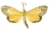  ( - INBIOCRI002401482)  @11 [ ] Copyright (2012) Juan Mata Lorenzen INBio