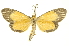  ( - INBIOCRI002401482)  @11 [ ] Copyright (2012) Juan Mata Lorenzen INBio
