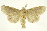  ( - INBIOCRI002406999)  @13 [ ] Copyright (2012) J. Montero INBio