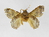  ( - INBIOCRI002408000)  @13 [ ] Copyright (2012) J. Montero Instituto Nacional de Biodiversidad