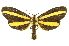  ( - INBIOCRI002412484)  @13 [ ] Copyright (2012) Juan Mata Lorenzen INBio