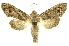  ( - INBIOCRI002413380)  @14 [ ] Copyright (2012) Juan Mata Lorenzen INBio