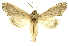  ( - INBIOCRI002413380)  @13 [ ] Copyright (2012) Juan Mata Lorenzen INBio
