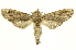  ( - INBIOCRI002414006)  @14 [ ] Copyright (2012) Juan Mata Lorenzen INBio