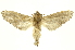  ( - INBIOCRI002414006)  @14 [ ] Copyright (2012) Juan Mata Lorenzen INBio