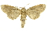  ( - INBIOCRI002414050)  @12 [ ] Copyright (2012) J. Montero INBio
