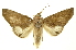  ( - INBIOCRI002414086)  @14 [ ] Copyright (2012) Juan Mata Lorenzen INBio