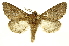  ( - INBIOCRI002430977)  @15 [ ] Copyright (2012) J. Montero INBio