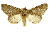  ( - INBIOCRI002431298)  @11 [ ] Copyright (2012) J. Montero INBio