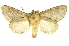  ( - INBIOCRI002431298)  @11 [ ] Copyright (2012) J. Montero INBio