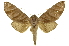  ( - INBIOCRI002437038)  @14 [ ] Copyright (2012) J. Montero INBio