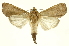  ( - INBIOCRI002437123)  @11 [ ] Copyright (2012) Juan Mata Lorenzen INBio