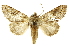  ( - INBIOCRI002437773)  @14 [ ] Copyright (2012) J. Montero INBio