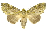  ( - INBIOCRI002438595)  @11 [ ] Copyright (2012) J. Montero INBio