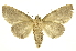  ( - INBIOCRI002438595)  @11 [ ] Copyright (2012) J. Montero INBio