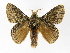  ( - INBIOCRI002438944)  @14 [ ] Copyright (2012) J. Montero Instituto Nacional de Biodiversidad