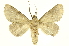 ( - INBIOCRI002438949)  @14 [ ] Copyright (2012) J. Montero INBio