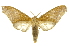  ( - INBIOCRI002439329)  @15 [ ] Copyright (2012) J. Montero INBio