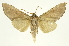  ( - INBIOCRI002439329)  @14 [ ] Copyright (2012) J. Montero INBio