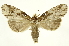  ( - INBIOCRI002441004)  @13 [ ] Copyright (2012) J. Montero INBio