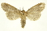  ( - INBIOCRI002441004)  @12 [ ] Copyright (2012) J. Montero INBio