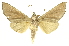  ( - INBIOCRI002441238)  @13 [ ] Copyright (2012) J. Montero INBio
