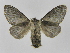  ( - INBIOCRI002447771)  @12 [ ] Copyright (2012) J. Montero Instituto Nacional de Biodiversidad
