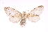  ( - INBIOCRI002456471)  @13 [ ] Copyright (2012) J. Montero Instituto Nacional de Biodiversidad