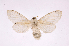  ( - INBIOCRI002456471)  @14 [ ] Copyright (2012) J. Montero Instituto Nacional de Biodiversidad