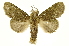  ( - INBIOCRI002462463)  @14 [ ] Copyright (2012) J. Montero INBio