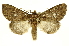 ( - INBIOCRI002462489)  @15 [ ] Copyright (2012) J. Montero INBio