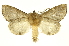  ( - INBIOCRI002462489)  @15 [ ] Copyright (2012) J. Montero INBio