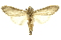  ( - INBIOCRI002464464)  @13 [ ] Copyright (2012) Juan Mata Lorenzen INBio