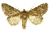  ( - INBIOCRI002472260)  @15 [ ] Copyright (2012) J. Montero INBio