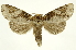  ( - INBIOCRI002477314)  @13 [ ] Copyright (2012) J. Montero INBio