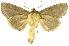  ( - INBIOCRI002482995)  @14 [ ] Copyright (2012) J. Montero INBio