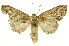  ( - INBIOCRI002483073)  @14 [ ] Copyright (2012) J. Montero INBio