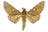  ( - INBIOCRI002484120)  @14 [ ] Copyright (2012) J. Montero INBio