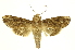  ( - INBIOCRI002484317)  @13 [ ] Copyright (2012) Juan Mata Lorenzen INBio