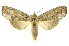  ( - INBIOCRI002496526)  @14 [ ] Copyright (2012) J. Montero INBio