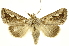  ( - INBIOCRI002497637)  @14 [ ] Copyright (2012) J. Montero INBio