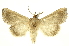  ( - INBIOCRI002497637)  @13 [ ] Copyright (2012) J. Montero INBio